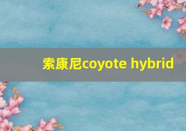 索康尼coyote hybrid